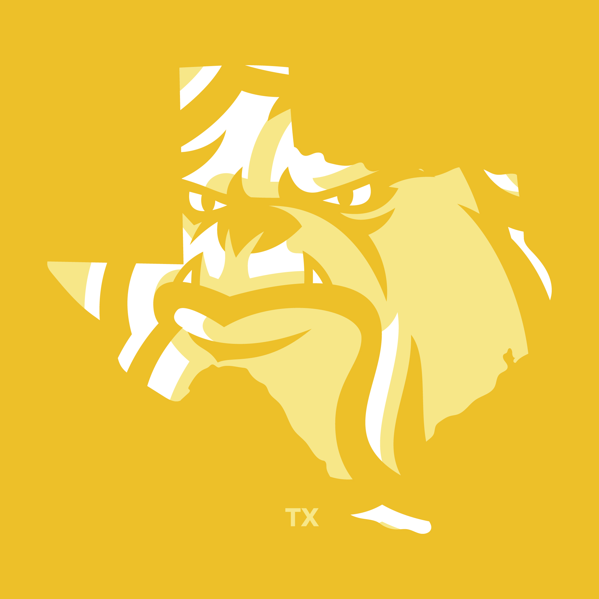 MadDogs Texas baseball logo design